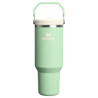 The IceFlow™ Flip Straw Tumbler - 900ml - Pistachio