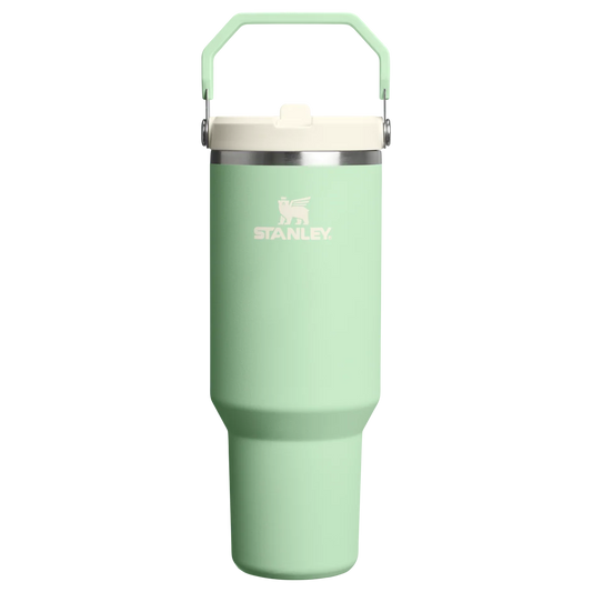 The IceFlow™ Flip Straw Tumbler - 900ml - Pistachio